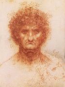 LEONARDO da Vinci Buste one frontal to seeing man and head of a Lowen oil painting artist